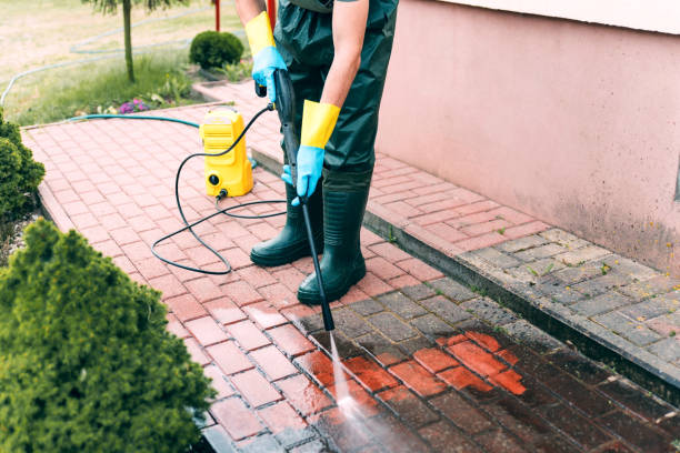 Best Sidewalk and Walkway Cleaning  in South Corning, NY